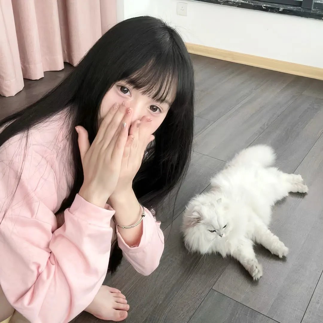 龙骑士4